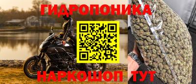 спайс Кунгур