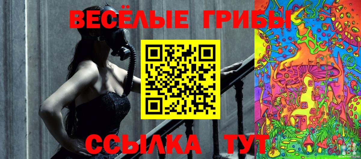Каменск-Шахтинский  Псилоцибиновые грибы Psilocybe  Вход с VPN 