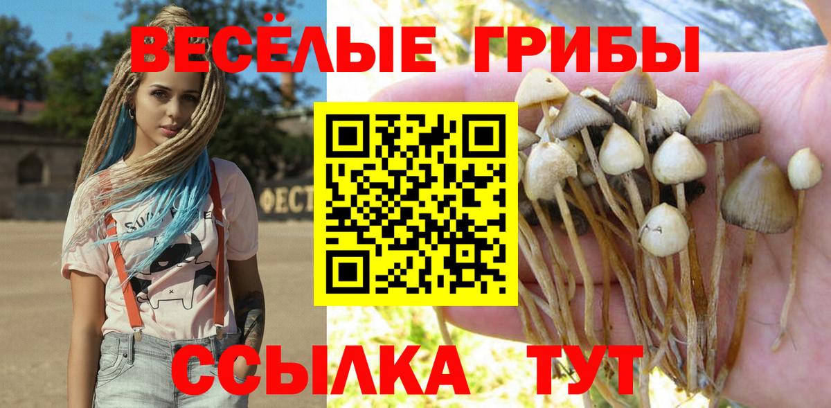 Псилоцибиновые грибы Cubensis Каменск-Шахтинский