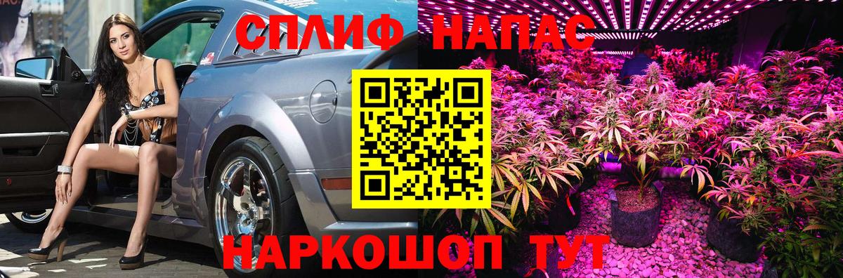 Конопля VHQ  Бошки марихуана план  Вход с VPN  Каменск-Шахтинский 